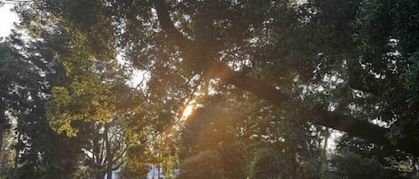 Overnatningsstedets område