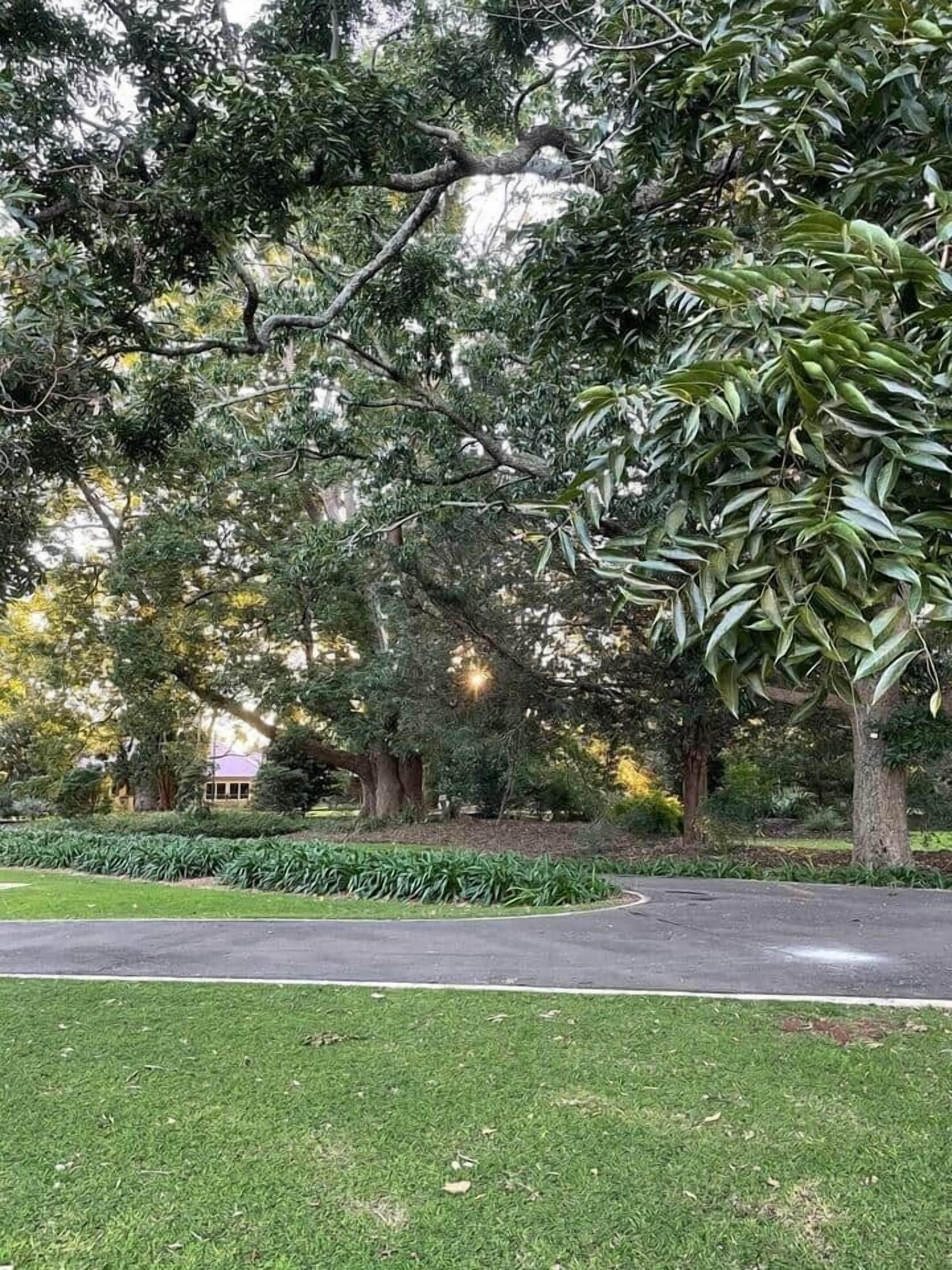 A park with a paved path, green grass, and various trees.
