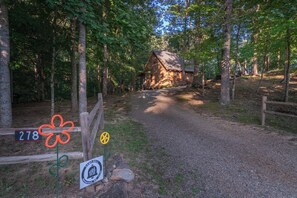 A rustic cabin surrounded by a forest with a gravel path leading to it. - Camp Bell at Twin Rivers |Cozy Riverfront Cabin (Demorest)