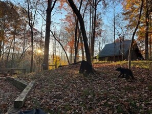 A forested area with a wooden bench and a stone structure, likely a picnic table, surrounded by fallen leaves.