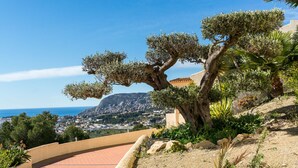 A coastal landscape with a prominent tree, a paved path, and a distant view of a town and the sea. - Villa Aguila with panoramic mountain and sea views, private pool, terraces (Calpe)
