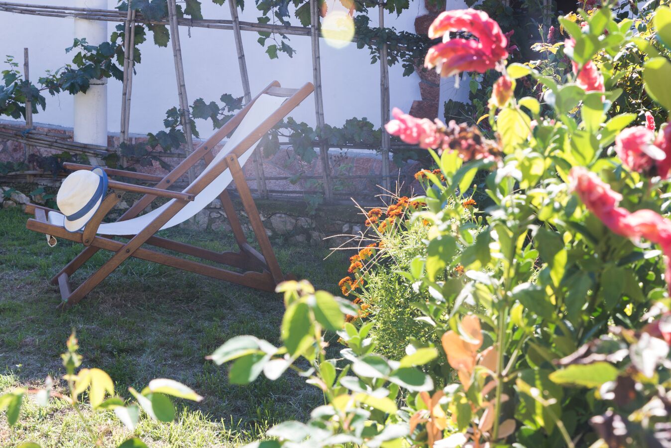 Un jardin avec une balançoire en bois, un chapeau et diverses plantes.