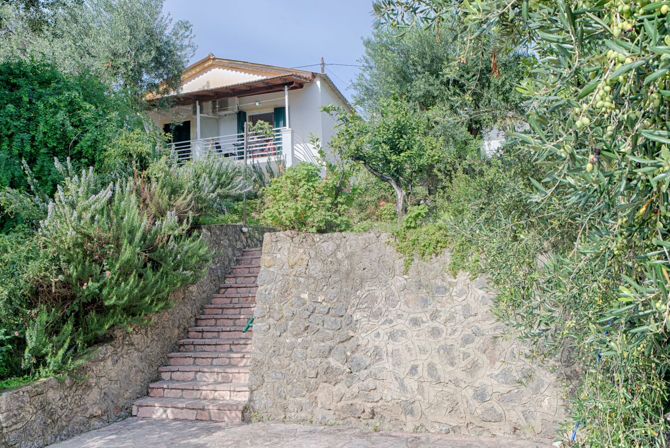 Una escalera de piedra que conduce a una casa con tejado de baldosas, rodeada de olivos y vegetación.