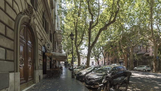 Rua com carros estacionados e árvores, um edifício com uma grande porta de madeira, e uma calçada coberta de folhas caídas.