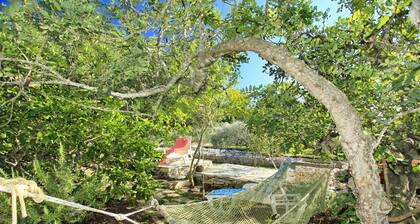Stone House Oreb's Cottage