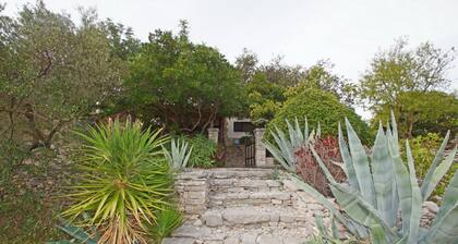 Vacation House Planika