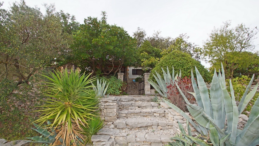 Vacation House Planika