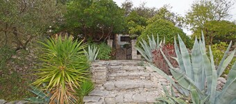 Vacation House Planika