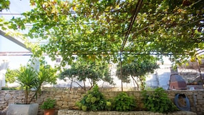 Un mur de pierre agrémenté de différentes plantes et une structure métallique au-dessus.