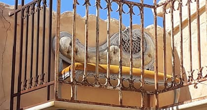 Baglio Ficus Nina aria di poesia..