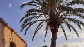 Un edificio con un arco de entrada y una palmera al frente.