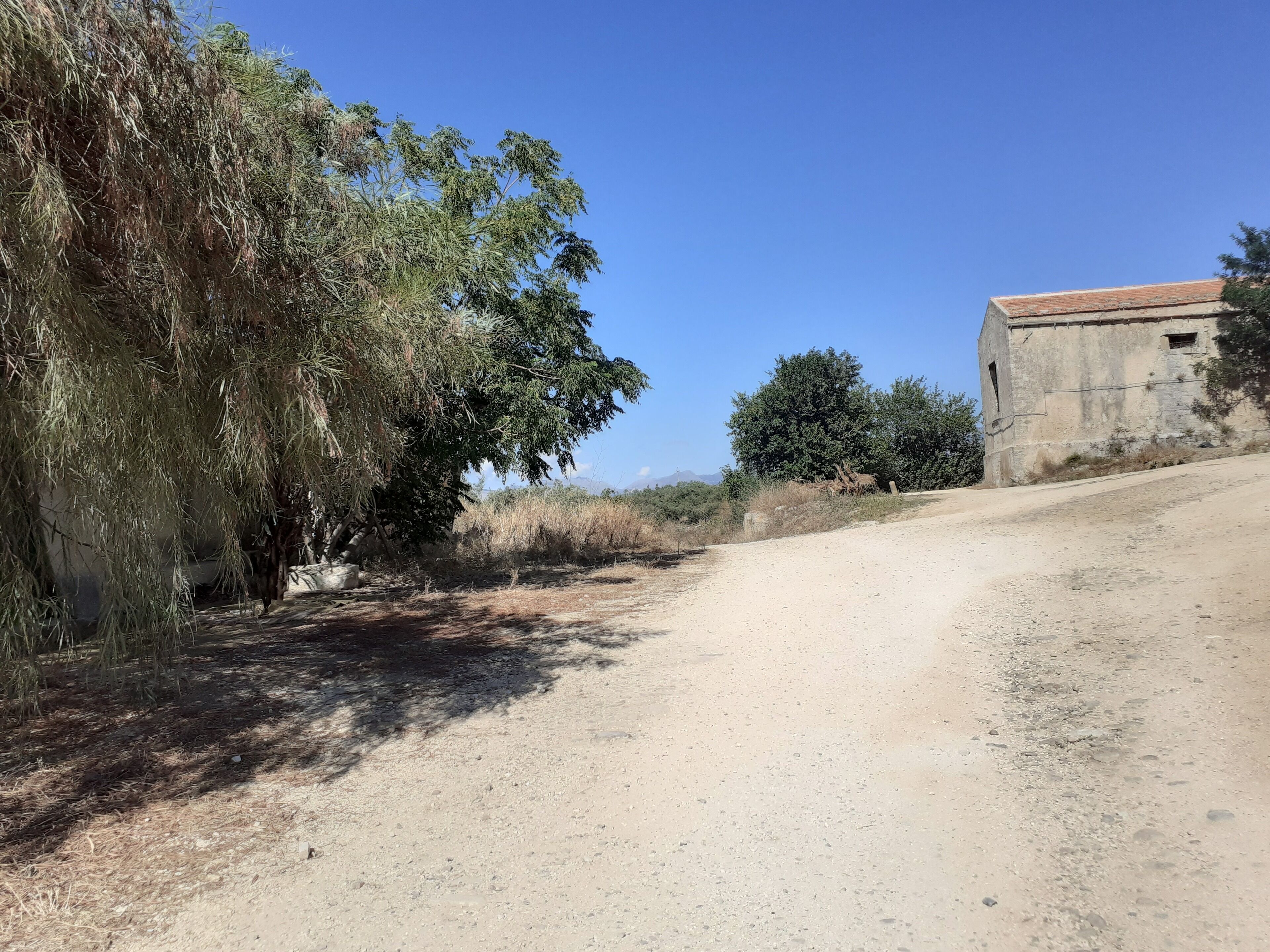 A dirt road leading to a rustic building with a sloped roof, surrounded by dry vegetation and trees.