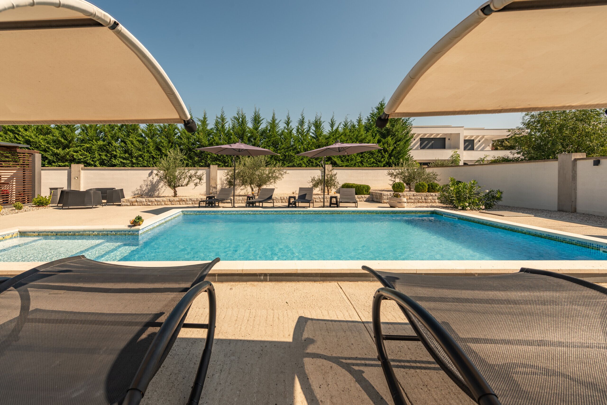 Une piscine entourée de verdure et d’un bâtiment moderne, avec des chaises longues et des parasols.