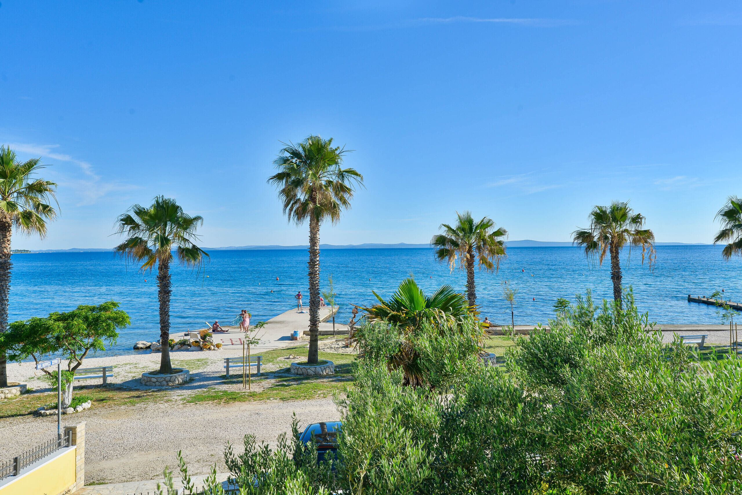 Vista sulla costa con palme, cielo azzurro limpido e mare calmo.