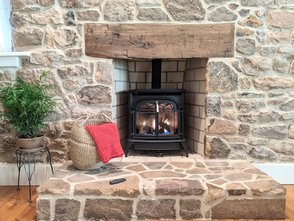 Una chimenea de piedra con un estufa de leña negra, un plaid rojo y una planta en maceta.