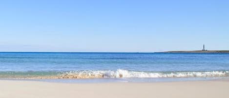 On the beach