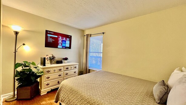 Un dormitorio con cama, cómoda, televisor y planta en maceta.