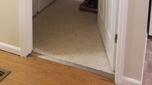 Una sala de lavandería con lavadora, secadora y aspiradora.