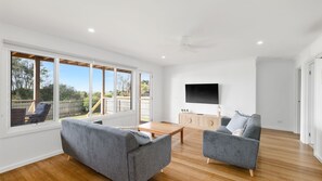 TV, DVD player, books, video library