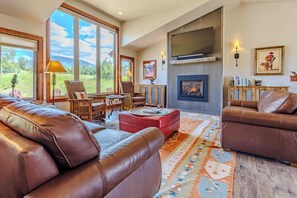 Smart TV, fireplace, books, stereo