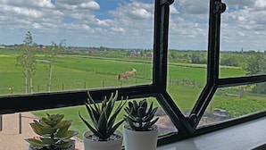 Une fenêtre donnant sur un champ verdoyant et sur un cheval, avec trois plantes en pot posées sur le rebord de la fenêtre.