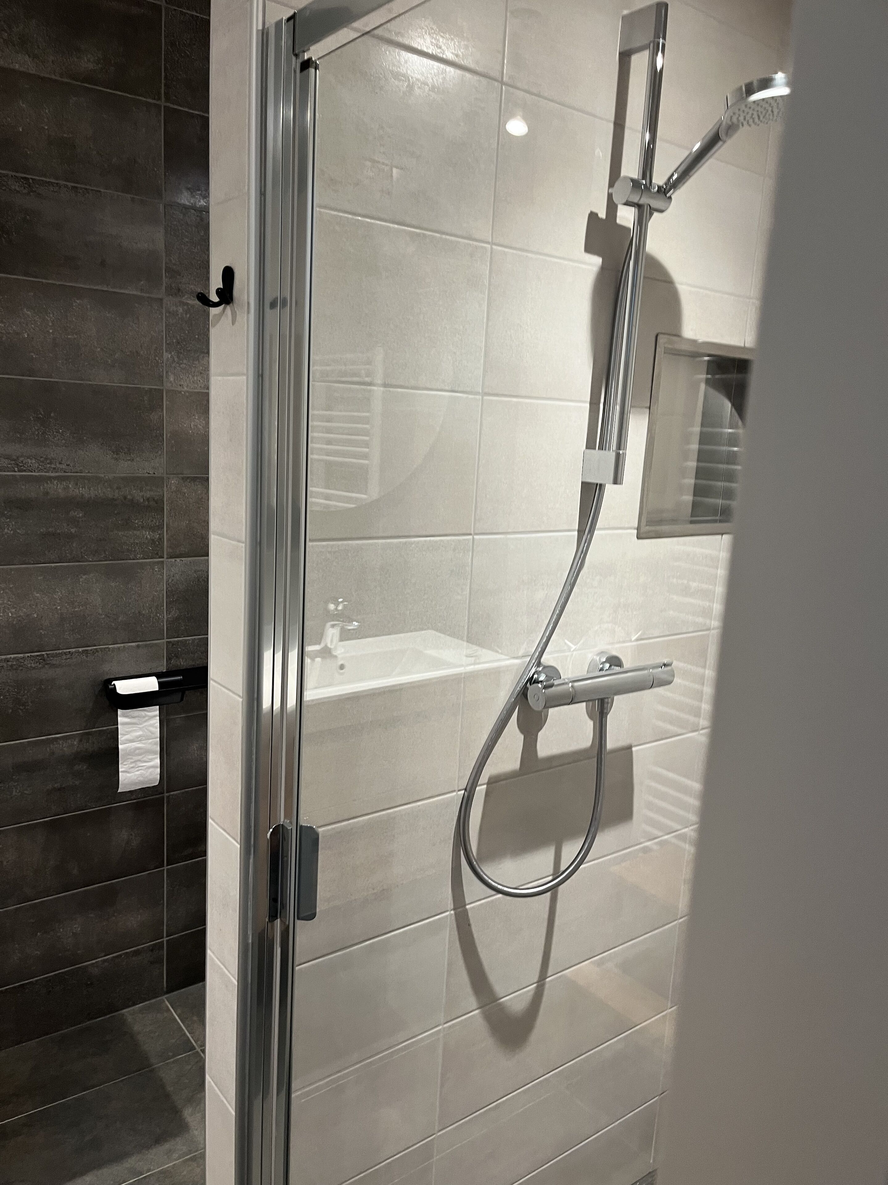 Shower, hair dryer, towels