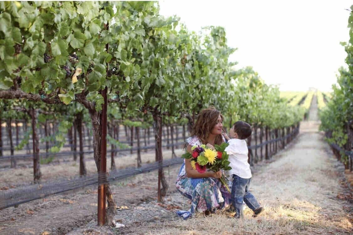 Un vignoble avec des rangées de vignes et un chemin de terre.