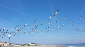 Am Strand