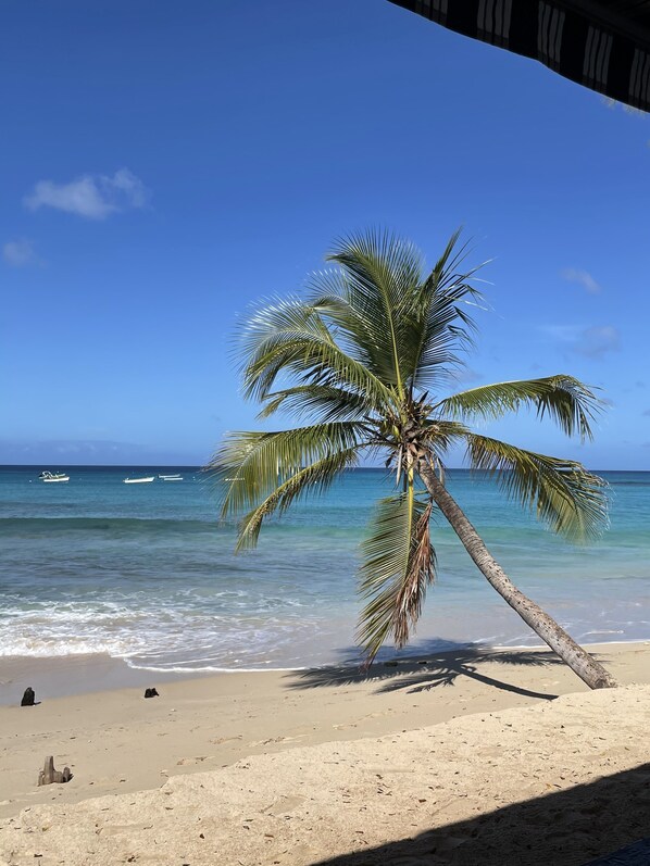 Playa en los alrededores, camastros y toallas de playa 