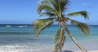 Beautiful 1 Bed Apartment on West Coast - Close to Beach