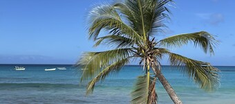 Beautiful 1 Bed Apartment on West Coast - Close to Beach