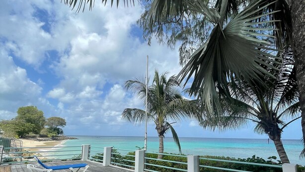A wooden deck with blue lounge chairs, a view of the ocean, and palm trees.