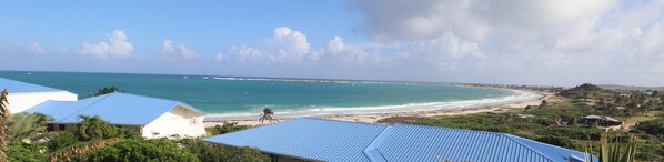 بالقرب من الشاطئ