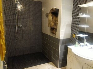Douche, serviettes fournies, papier toilette