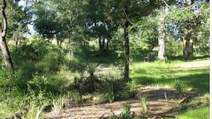 Un espace extérieur aménagé, avec des arbres, de l’herbe et un sentier de terre.