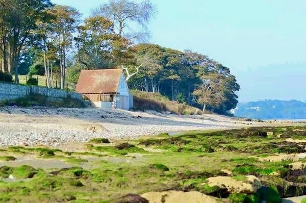 Paisaje costero con un edificio pequeño, una costa rocosa y árboles.