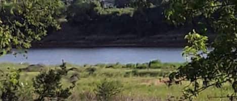 A view of a lake surrounded by greenery and trees.