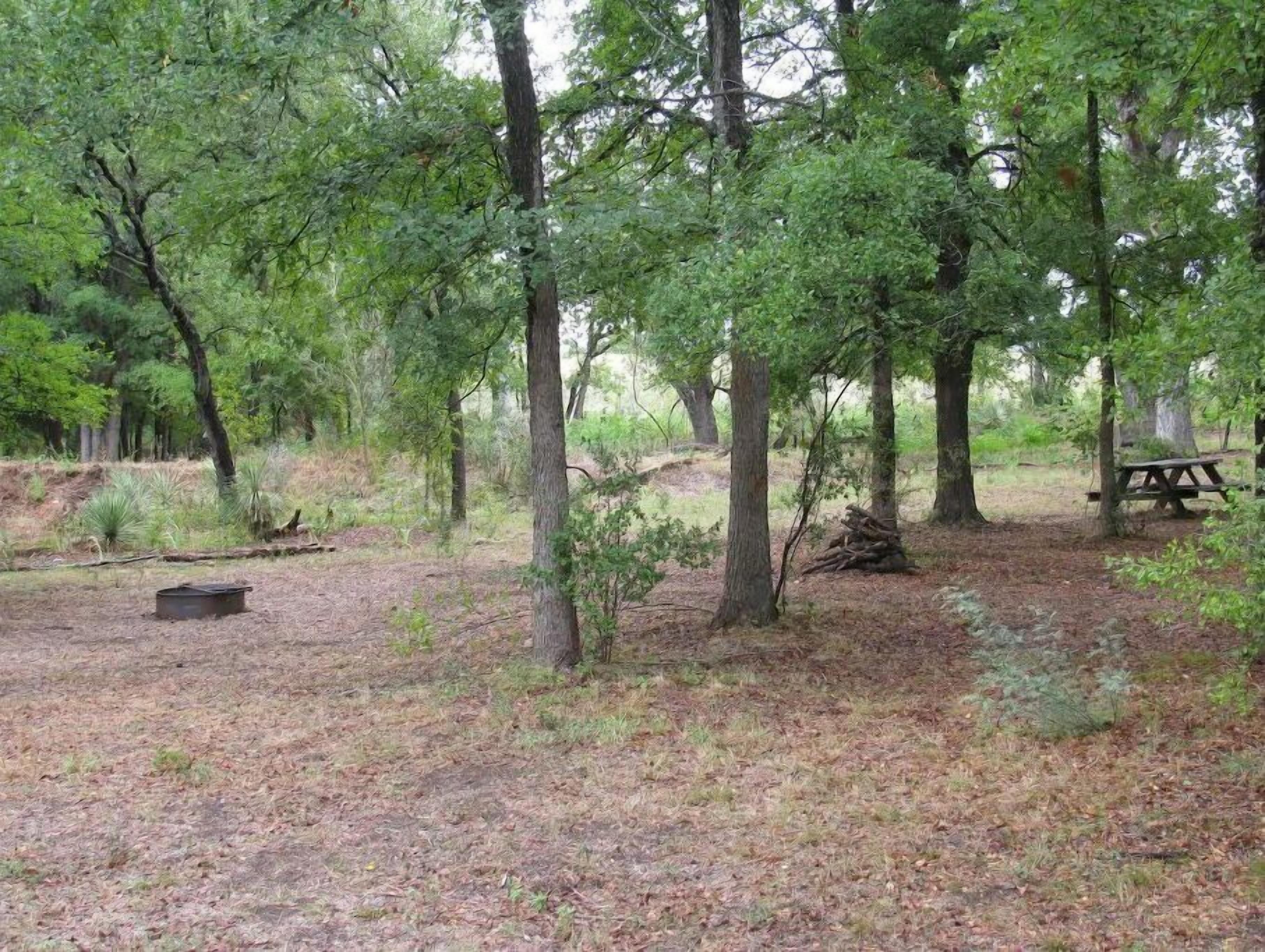 A forested campsite with a picnic table and a metal fire pit.