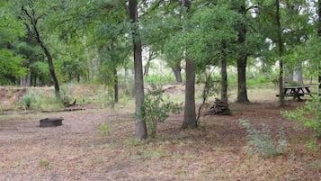 A forested campsite with a picnic table and a metal fire pit.