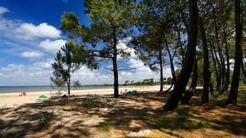 En la playa y camastros