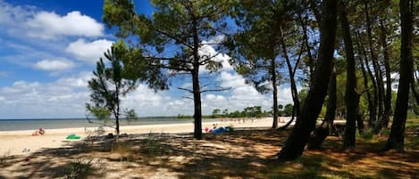 On the beach, sun-loungers