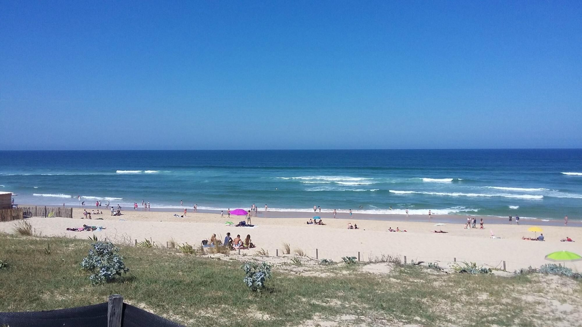 Plage, chaises longues