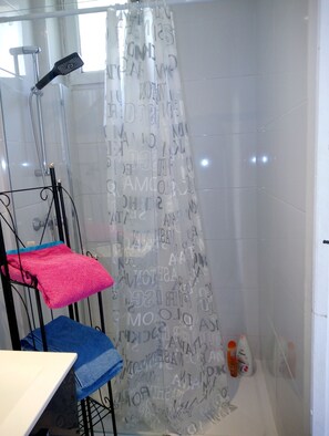 Hair dryer, towels, shampoo, toilet paper
