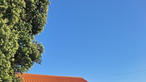 Esterni