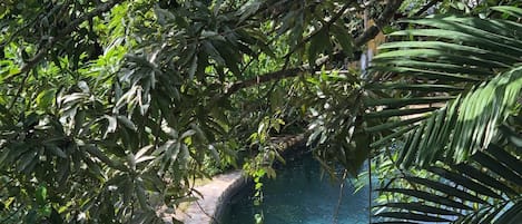 Piscina all'aperto, con ingresso dalle 08:00 alle 18:00, lettini
