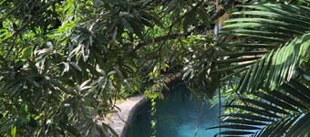 Pulse Suites at Villa Ronai