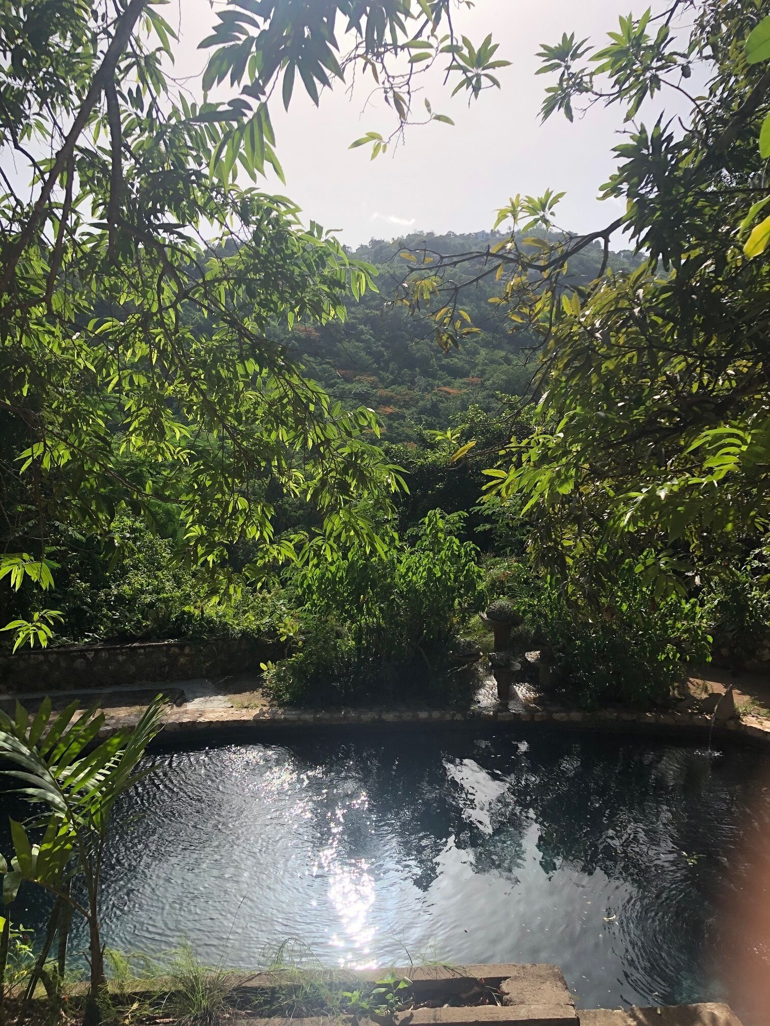 Kolam renang outdoor, dengan kursi berjemur