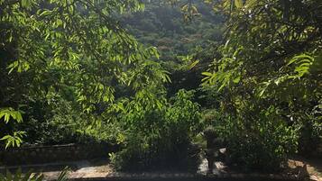 Una piscina al aire libre, sillones reclinables de piscina