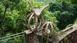A metal sculpture with a textured surface and a spherical object beside it, set against a lush green forest backdrop. - Pulse Suites at Villa Ronai (Kingston)
