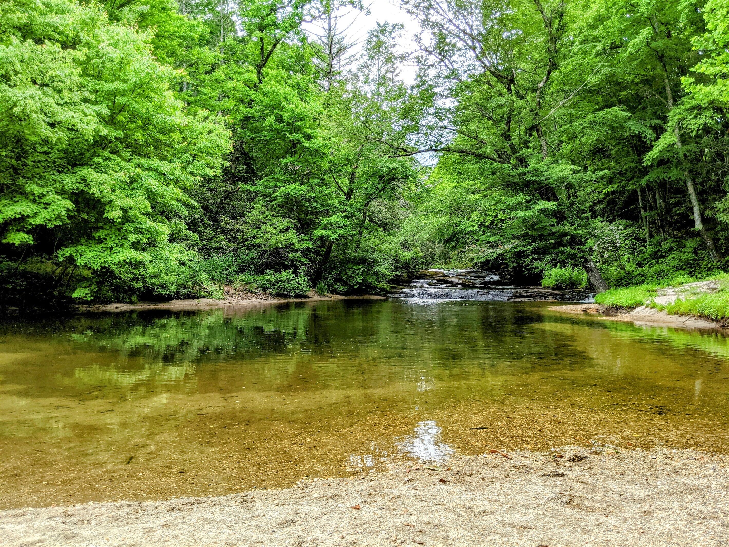 Een rustige rivier omringd door weelderige groene begroeiing.